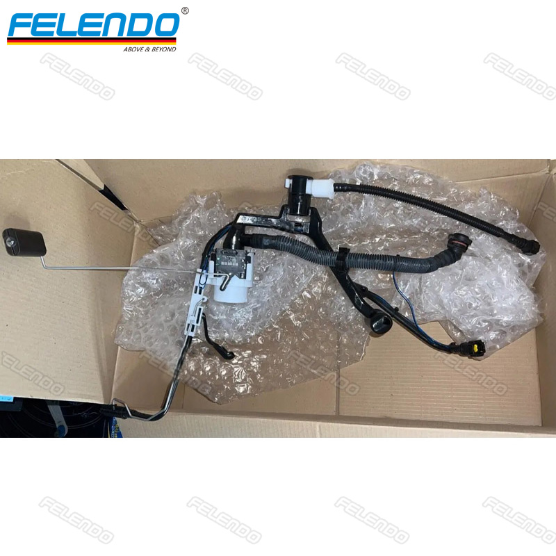 LR079271 LR079271